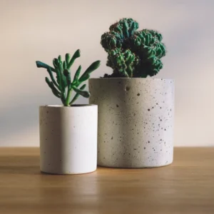 Glazed Ceramic Planter